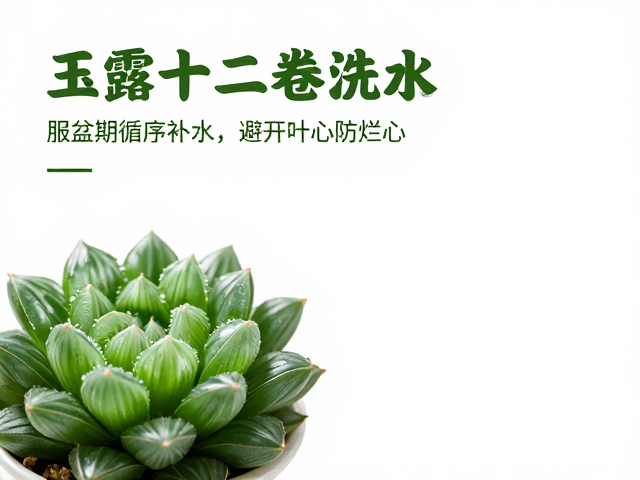 季节性与环境因素下的浇水调整