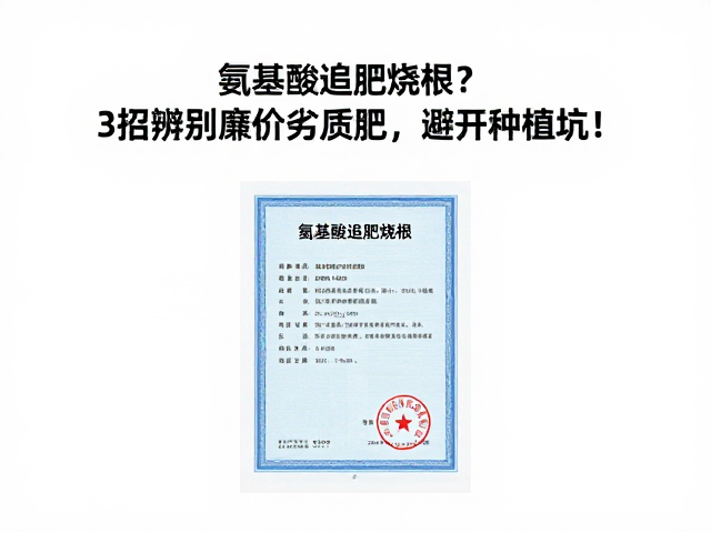 关注登记证号与执行标准