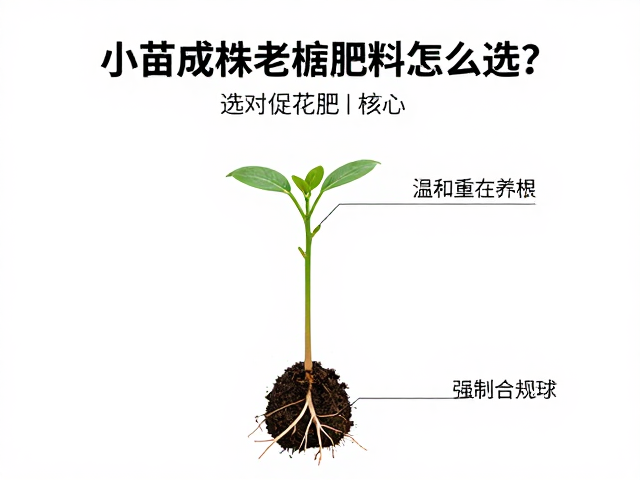 小苗成株老桩肥料怎么选？选对促花肥，标注清晰更省心