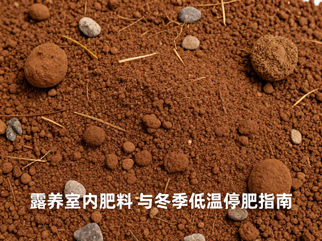 鹿沼土在配土中的物理与化学特性