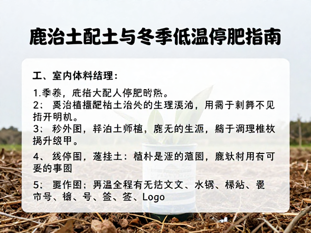 冬季低温下的植物生理停滞与停肥时机