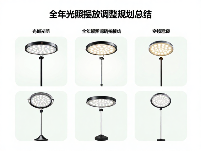 全年光照摆放调整规划与空间逻辑