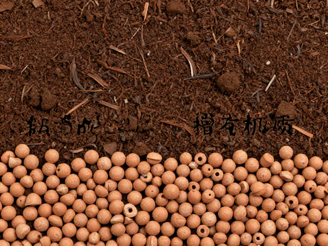 腐叶土增有机质，陶粒垫底，原理揭秘土壤透气性提升秘诀