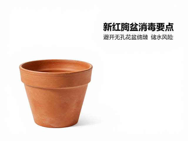防烂根对策与土壤管理策略