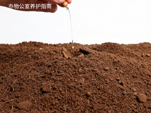 室内办公室养护指南，颗粒土增排水，遮阴通风更适宜