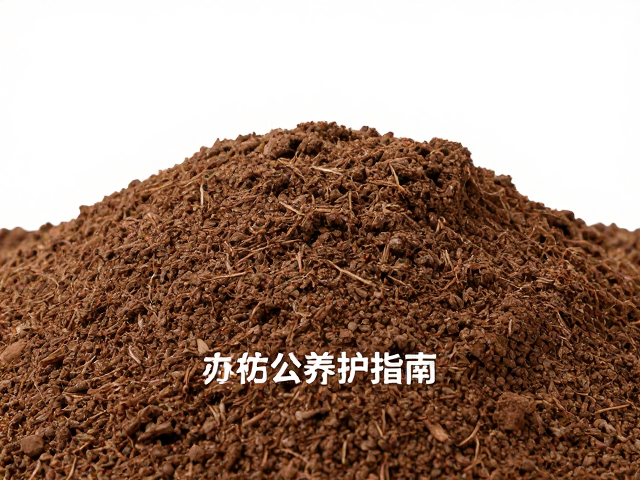 光照管理与空间通风策略