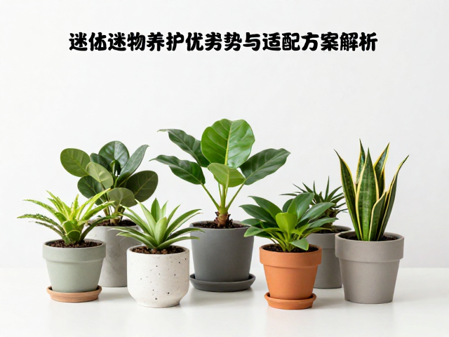 低成本适配方案与环境优化