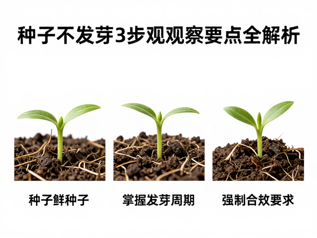 精准计算发芽周期