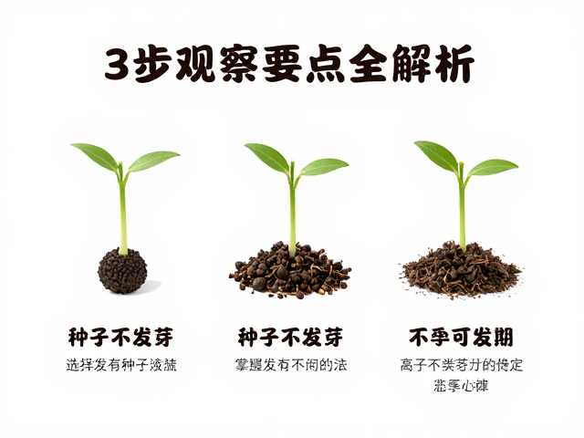 三步观察法排查异常