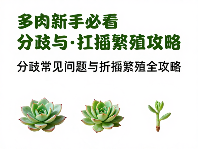 常见问题排查与失败原因分析
