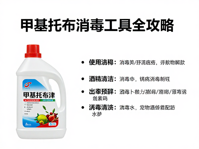 综合管理策略与长期预防