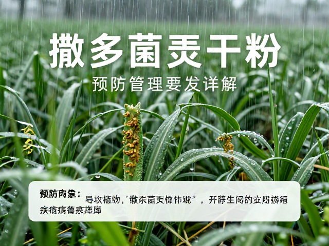 梅雨季节病害高发，撒多菌灵干粉预防管理要点详解