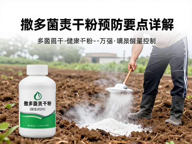 多菌灵干粉土壤处理的操作规范与剂量控制