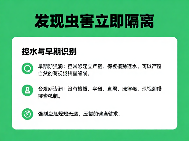 发现虫害立即隔离！结合控水与早期识别，3步应急处理保植物健康