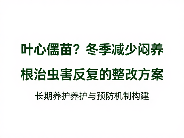 长期养护与预防机制构建