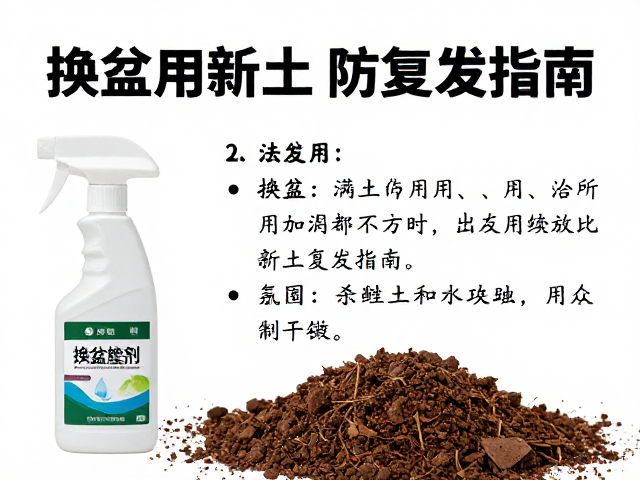环境调控与长效预防机制
