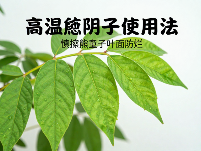 精准施药与叶片保护策略