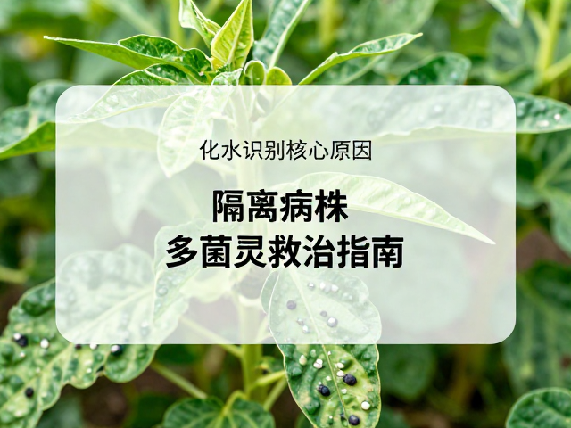隔离病株,多菌灵救治指南