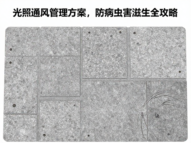 常见病虫害识别与物理防治