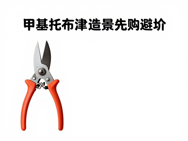 造景素材与配件的筛选与搭配技巧