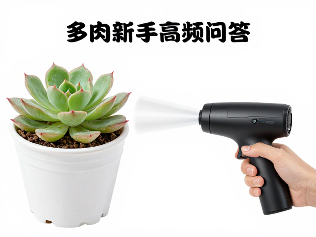 气吹清理技巧全汇总:操作细节与注意事项