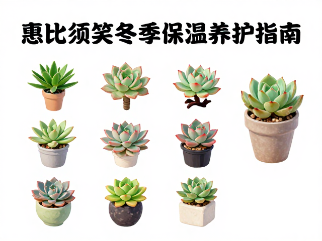 常见冬季病害预防与环境通风