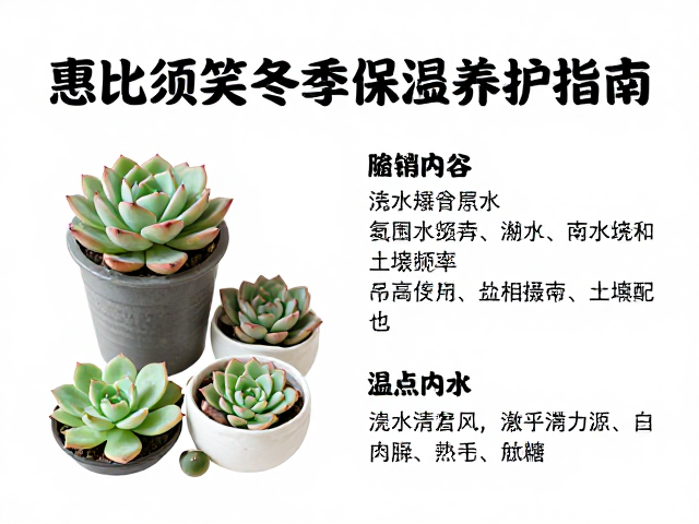 冬季浇水频率与土壤配土逻辑