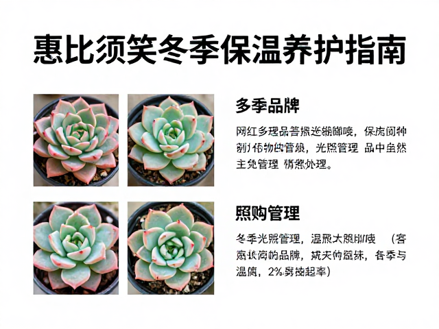 冬季光照管理与温度控制策略
