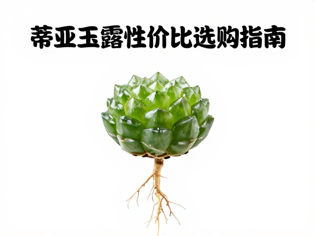性价比选购的视觉与根系标准