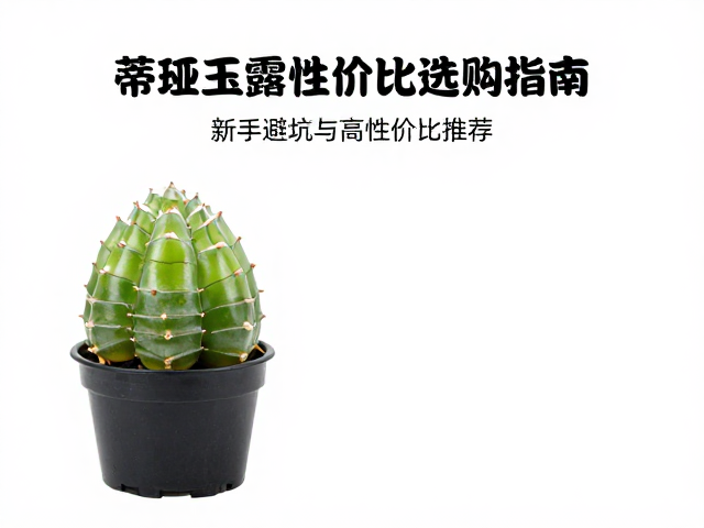 高性价比场景与环境适配建议