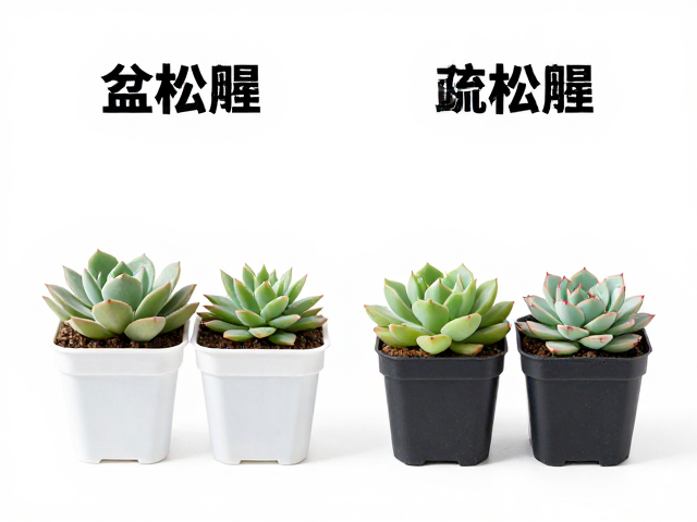不同品种与环境的服盆速度差异