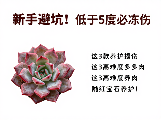 红宝石养护指南:低温下的色彩与健康