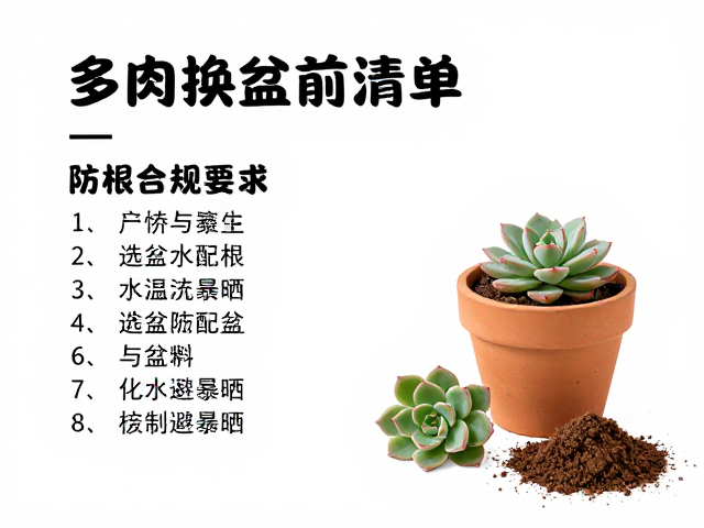 多肉换盆前清单，备齐土与盆，防化水避暴晒
