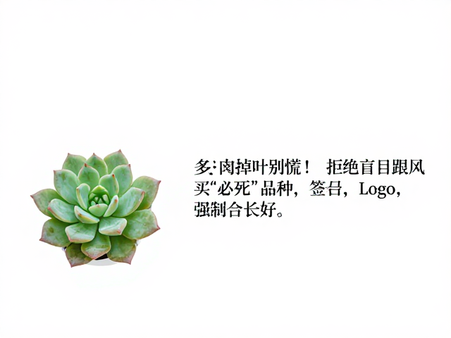 避开“必死”品种的常见误区