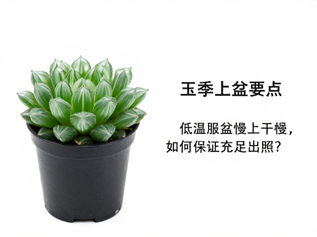 水分调控与根系修复
