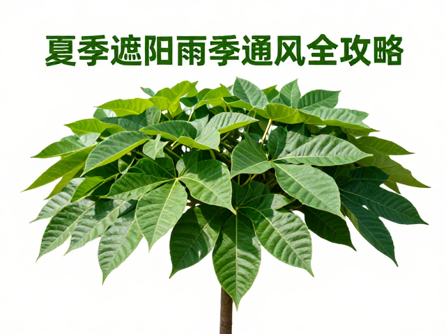 夏季遮阴与温度调控策略