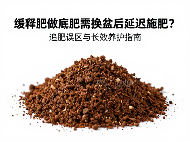 追肥误区:只补氮不补全元素
