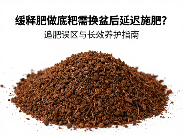 缓释肥做底肥需换盆后延迟施肥？追肥误区与长效养护指南