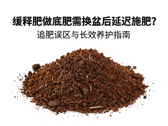 长效养护:环境调控与肥效释放