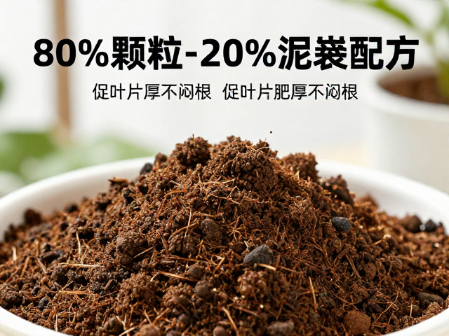 配土细节与阳台养护的实操要点