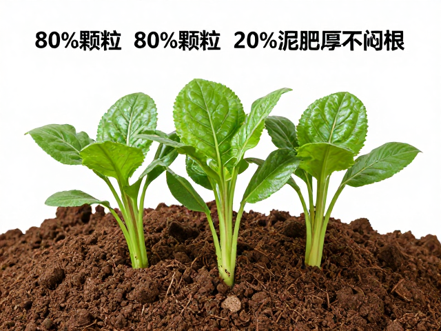 泥炭土的缓冲作用与叶片形态塑造
