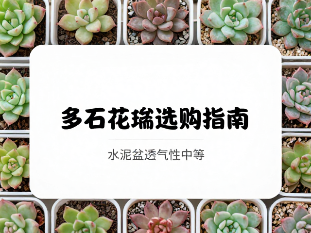 选购时的细节检查与避坑要点