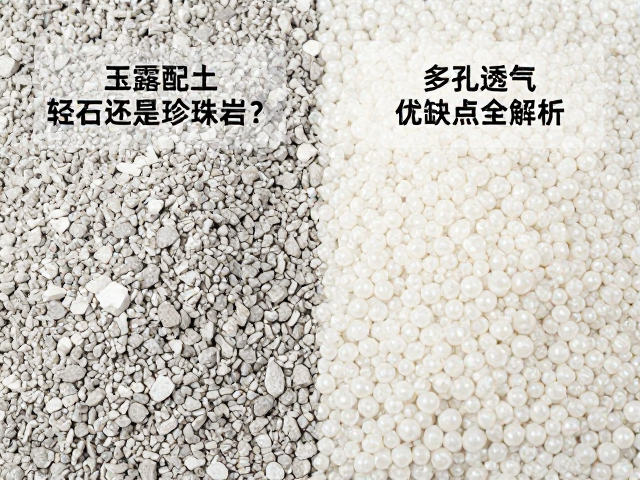 玉露配土用轻石还是珍珠岩？多孔透气颗粒优缺点全解析
