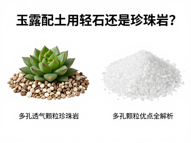 保水性与养分留存能力分析