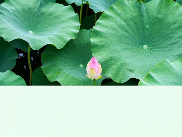 水分管理:精准识别缺水与闷根的前兆