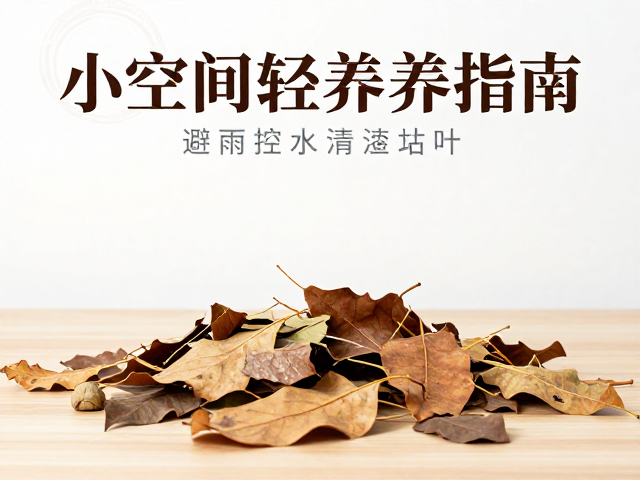 枯叶清理与空间微环境优化
