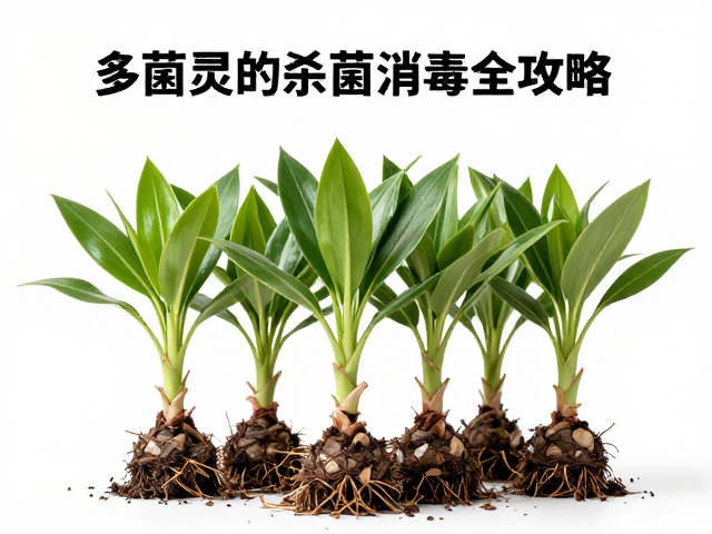 群生植物分株常见问题？多菌灵杀菌消毒全攻略