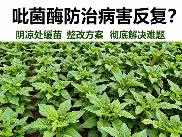 彻底解决难题的环境调控与综合治理