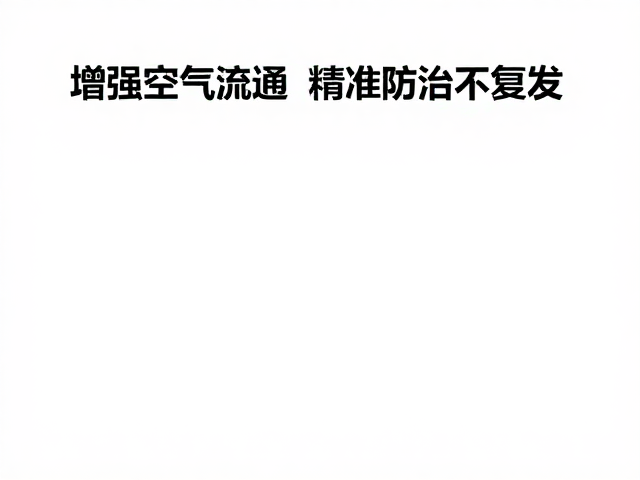 增强空气流通与基础环境管理