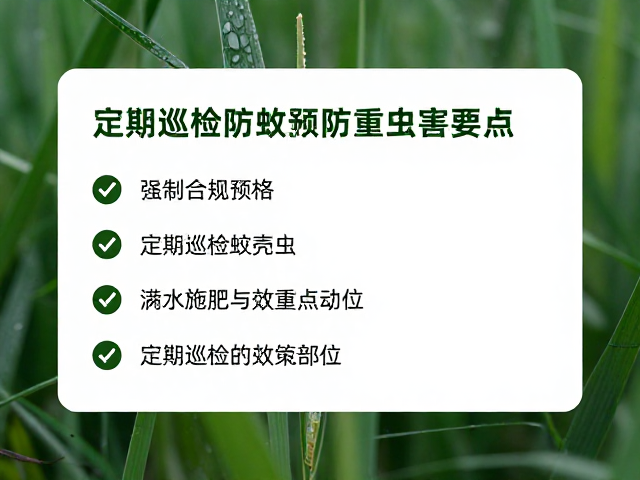 科学制定定期巡检的频率与重点部位